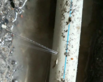 巴东卫生间测漏水多少钱