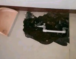 巴东卫生间测漏水多少钱